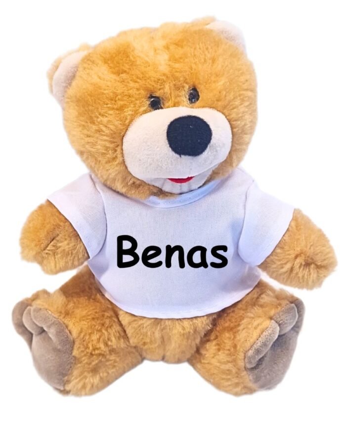 Pliušinis meškiukas su vardu